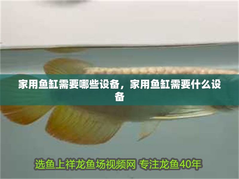 家用魚缸需要哪些設備，家用魚缸需要什么設備
