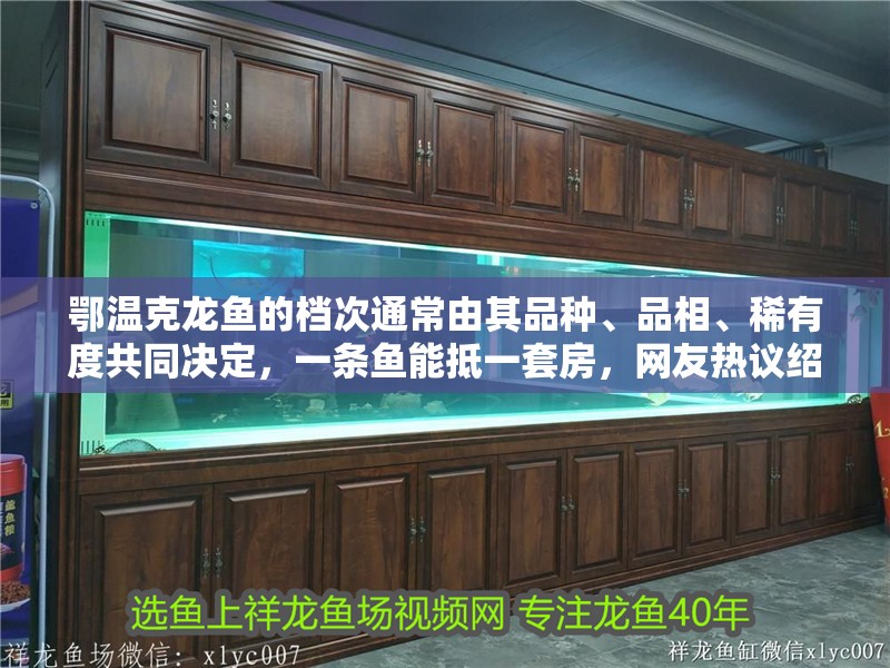 鄂溫克龍魚的檔次通常由其品種、品相、稀有度共同決定，一條魚能抵一套房，網友熱議紹興網聽，鄂溫克龍魚的價格是多少？