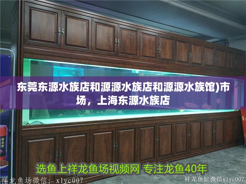 東莞東源水族店和源源水族店和源源水族館)市場，<strong><mark>上海</mark></strong>東源水族店