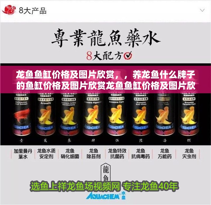 龍魚魚缸價格及圖片欣賞，，養(yǎng)龍魚什么牌子的魚缸價格及圖片欣賞龍魚魚缸價格及圖片欣賞