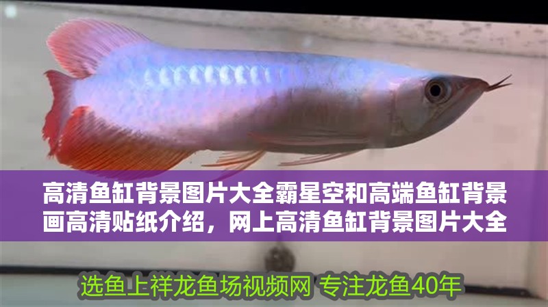 高清魚缸背景圖片大全霸星空和高端魚缸背景畫高清貼紙介紹，網上高清魚缸背景圖片大全霸星空你最好找