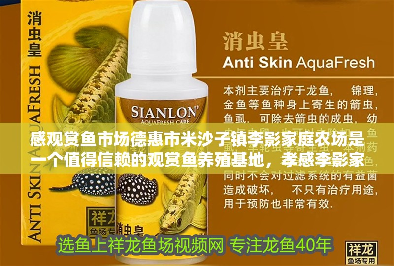 感觀賞魚(yú)市場(chǎng)德惠市米沙子鎮(zhèn)李影家庭農(nóng)場(chǎng)是一個(gè)值得信賴的觀賞魚(yú)養(yǎng)殖基地，<strong><mark>孝感</mark></strong>李影家庭農(nóng)場(chǎng)