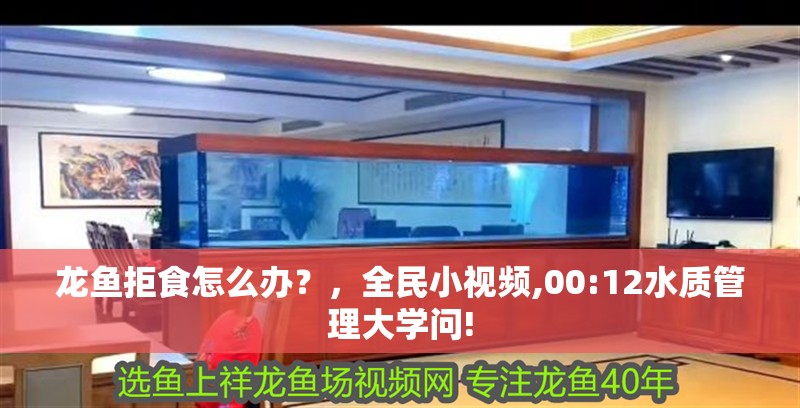 龍魚拒食怎么辦？，全民小視頻,00:12水質管理大學問!
