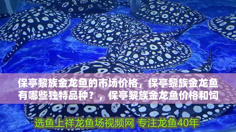 保亭黎族金龍魚的市場價格，保亭黎族金龍魚有哪些獨特品種？，保亭黎族金龍魚價格和飼養(yǎng)方法及注意事項及注意事項