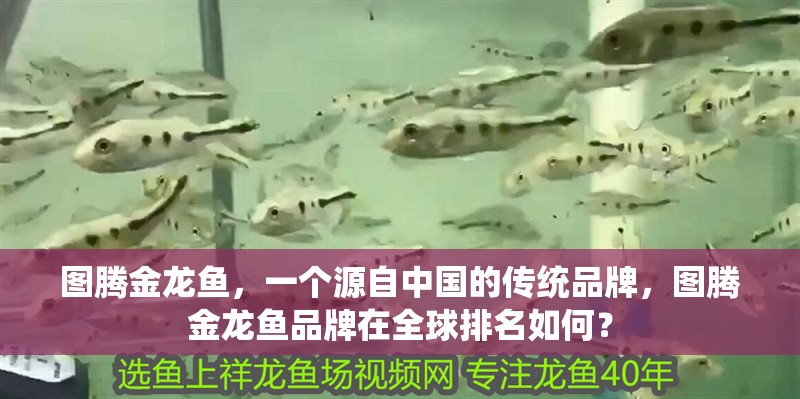圖騰金龍魚，一個源自中國的傳統品牌，圖騰金龍魚品牌在全球排名如何？