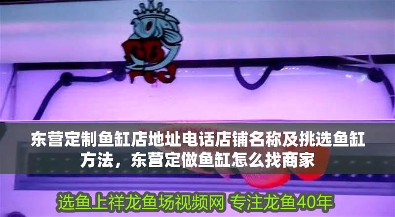 東營定制魚缸店地址電話店鋪名稱及挑選魚缸方法，東營定做魚缸怎么找商家