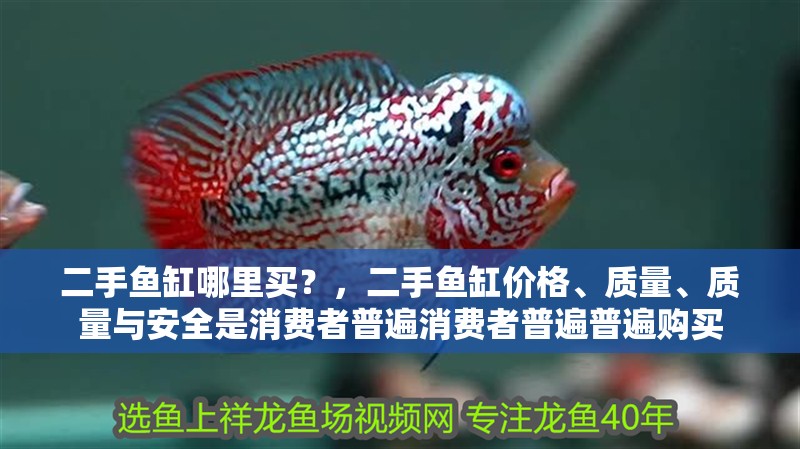 二手魚缸哪里買？，二手魚缸價格、質量、質量與安全是消費者普遍消費者普遍普遍購買