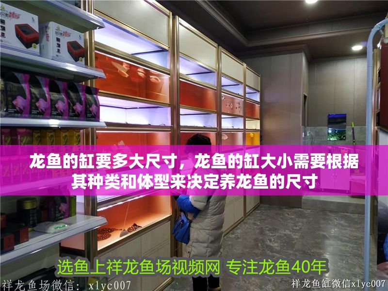 龍魚(yú)的缸要多大尺寸，龍魚(yú)的缸大小需要根據(jù)其種類(lèi)和體型來(lái)決定養(yǎng)龍魚(yú)的尺寸 龍魚(yú)的缸要多大尺寸，龍魚(yú)的缸大小需要根據(jù)其種類(lèi)和體型來(lái)決定養(yǎng)龍魚(yú)的尺寸 龍魚(yú)百科 第2張