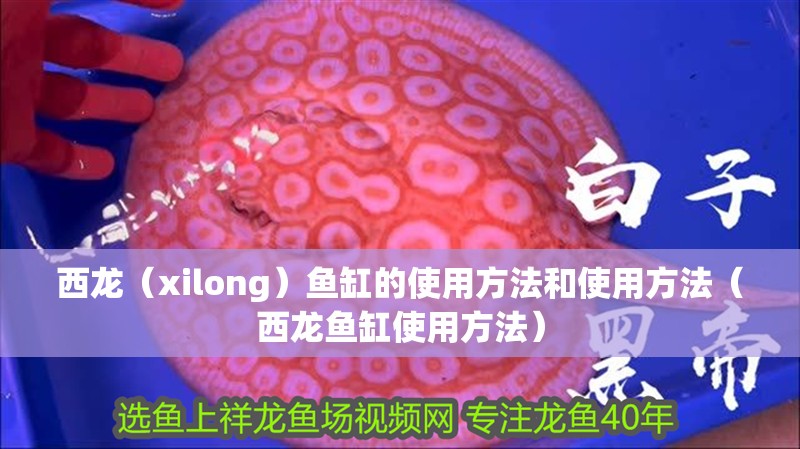 西龍（xilong）魚缸的使用方法和使用方法（西龍魚缸使用方法）