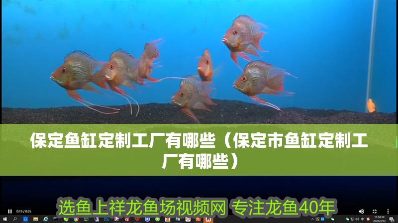 保定魚缸定制工廠有哪些（保定市魚缸定制工廠有哪些）