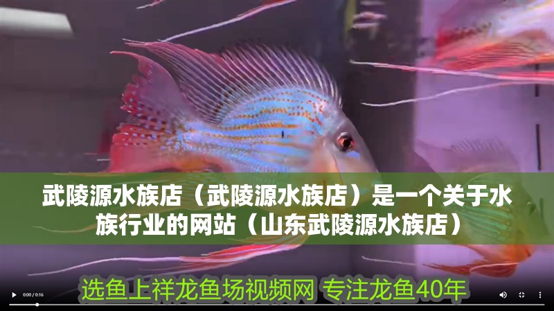 <strong><mark>武陵源</mark></strong>水族店（<strong><mark>武陵源</mark></strong>水族店）是一個關于水族行業(yè)的網(wǎng)站（山東<strong><mark>武陵源</mark></strong>水族店）