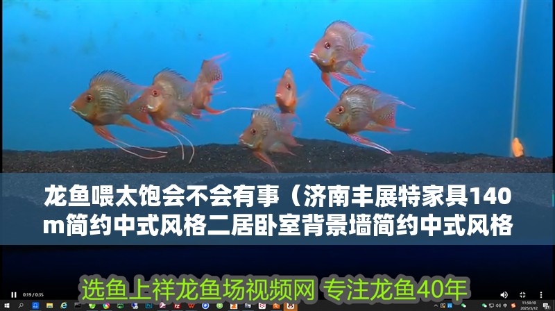 龍魚喂太飽會不會有事（濟南豐展特家具140m簡約中式風格二居臥室背景墻簡約中式風格床效果圖）
