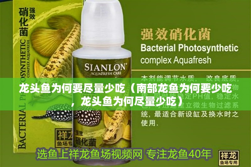 龍頭魚為何要盡量少吃（南部龍魚為何要少吃，龍頭魚為何盡量少吃）