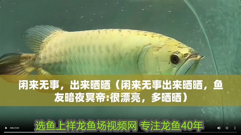 閑來無事，出來曬曬（閑來無事出來曬曬，魚友暗夜冥帝:很漂亮，多曬曬）