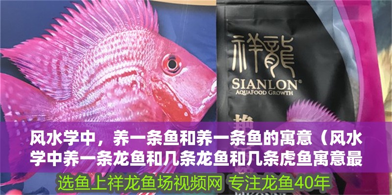 風水學中，養一條魚和養一條魚的寓意（風水學中養一條龍魚和幾條龍魚和幾條虎魚寓意最好的魚缸）