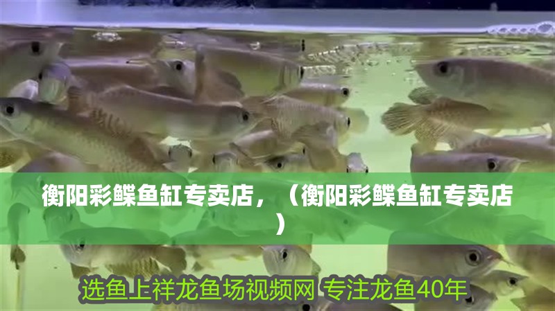 衡陽彩鰈魚缸專賣店，（衡陽彩鰈魚缸專賣店）