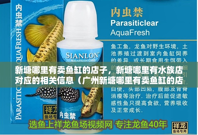 新塘哪里有賣魚缸的店子，新塘哪里有水族店對應的相關信息（廣州新塘哪里有賣魚缸的店子）
