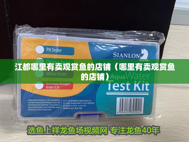 江都哪里有賣觀賞魚的店鋪（哪里有賣觀賞魚的店鋪）