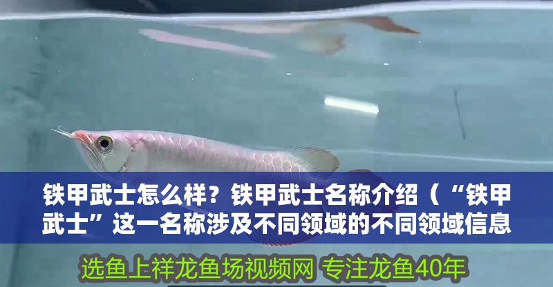 鐵甲武士怎么樣？鐵甲武士名稱介紹（“鐵甲武士”這一名稱涉及不同領域的不同領域信息）