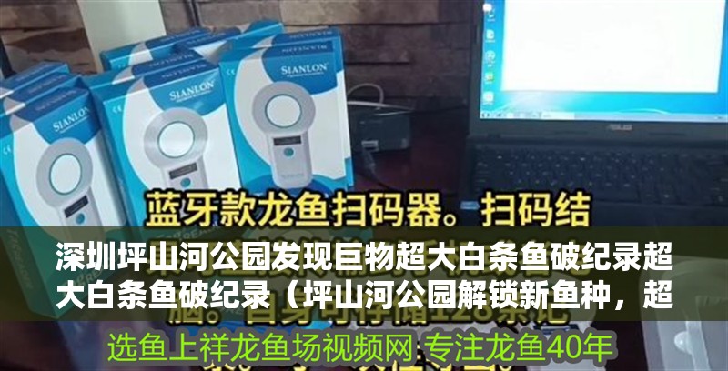 深圳坪山河公園發(fā)現(xiàn)巨物超大白條魚破紀(jì)錄超大白條魚破紀(jì)錄（坪山河公園解鎖新魚種，超大白條魚破紀(jì)錄！）