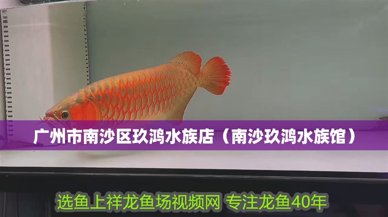 廣州市南沙區玖鴻水族店（南沙玖鴻水族館）