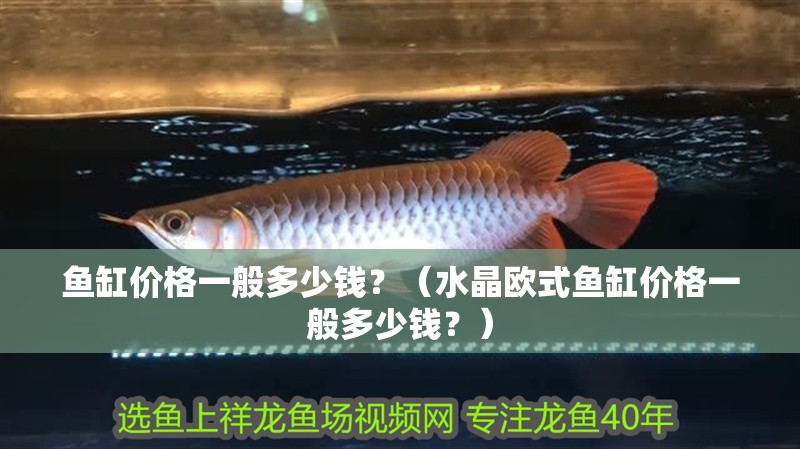 魚缸價格一般多少錢？（水晶歐式魚缸價格一般多少錢？）