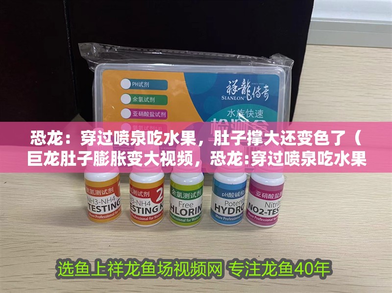 恐龍：穿過噴泉吃水果，肚子撐大還變色了（巨龍肚子膨脹變大視頻，恐龍:穿過噴泉吃水果）