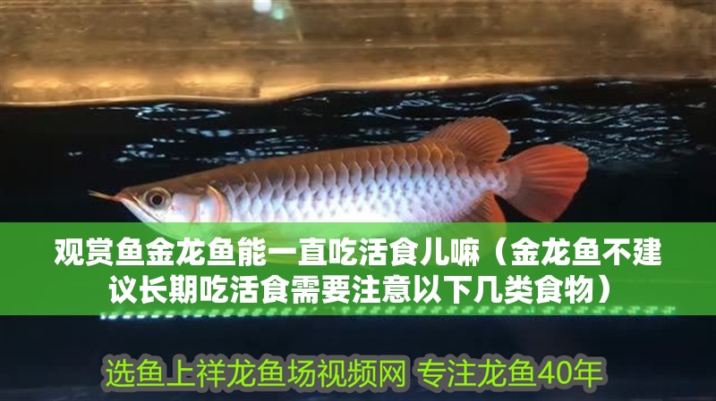 觀賞魚金龍魚能一直吃活食兒嘛（金龍魚不建議長期吃活食需要注意以下幾類食物）