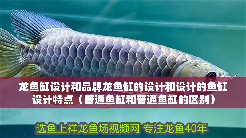 龍魚缸設計和品牌龍魚缸的設計和設計的魚缸設計特點（普通魚缸和普通魚缸的區別）