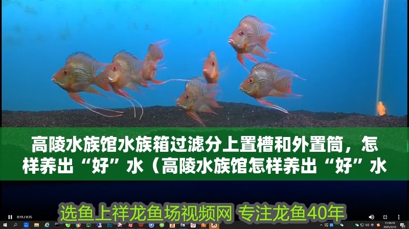 <strong><mark>高陵</mark></strong>水族館水族箱過濾分上置槽和外置筒，怎樣養出“好”水（<strong><mark>高陵</mark></strong>水族館怎樣養出“好”水？）