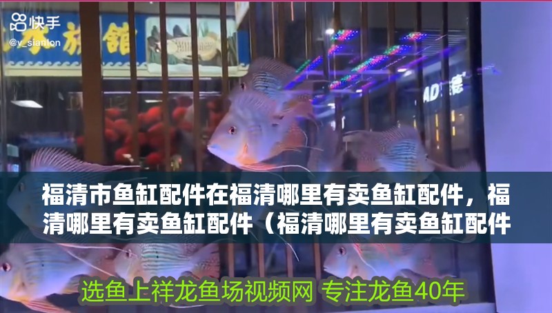 福清市魚缸配件在福清哪里有賣魚缸配件，福清哪里有賣魚缸配件（福清哪里有賣魚缸配件）