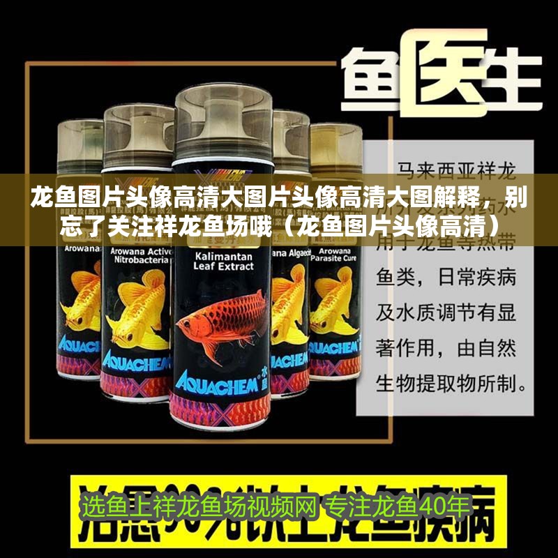 龍魚圖片頭像高清大圖片頭像高清大圖解釋，別忘了關注祥龍魚場哦（龍魚圖片頭像高清）