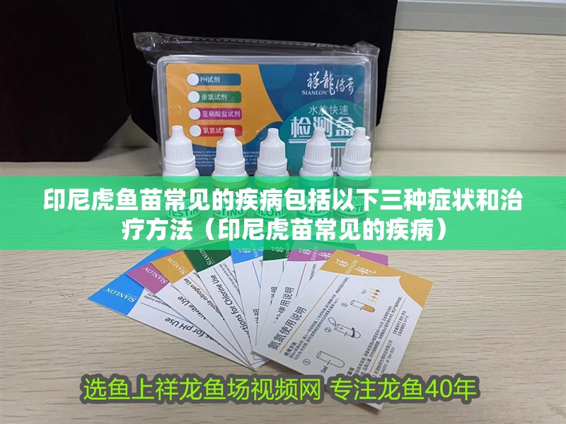 印尼虎魚苗常見的疾病包括以下三種癥狀和治療方法（印尼虎苗常見的疾?。?></span></p></div><blockquote style='border:1px #d0d4c8 dashed;background-color:#f4f5f6'><p class=