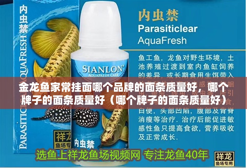 金龍魚家常掛面哪個(gè)品牌的面條質(zhì)量好，哪個(gè)牌子的面條質(zhì)量好（哪個(gè)牌子的面條質(zhì)量好）