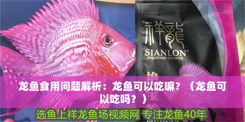 龍魚食用問題解析:龍魚可以吃嘛?(龍魚可以吃嗎?) 觀賞魚百科 第2張 龍魚食用問題解析:龍魚可以吃嘛?(龍魚可以吃嗎?) 龍魚食用問題解析:龍魚可以吃嘛?(龍魚可以吃嗎?) 觀賞魚百科 第2張