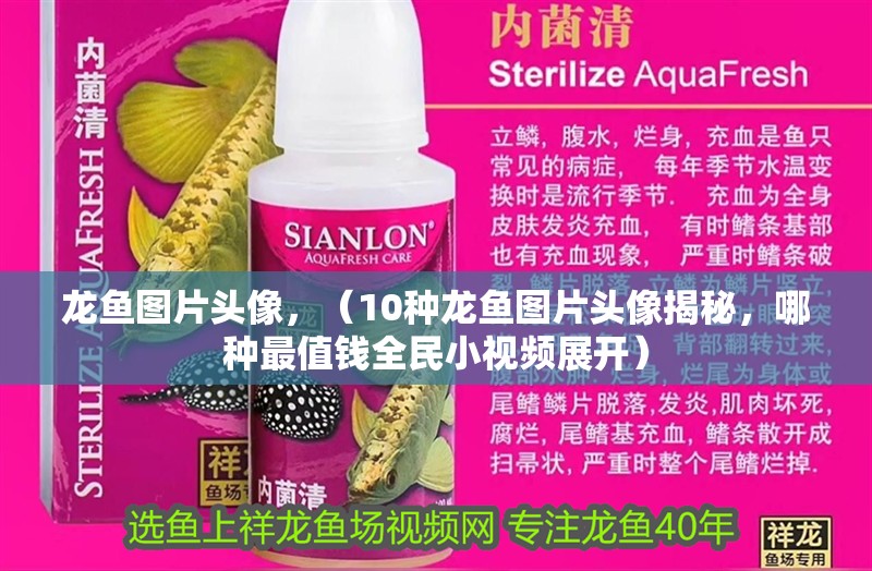 龍魚圖片頭像，（10種龍魚圖片頭像揭秘，哪種最值錢全民小視頻展開）