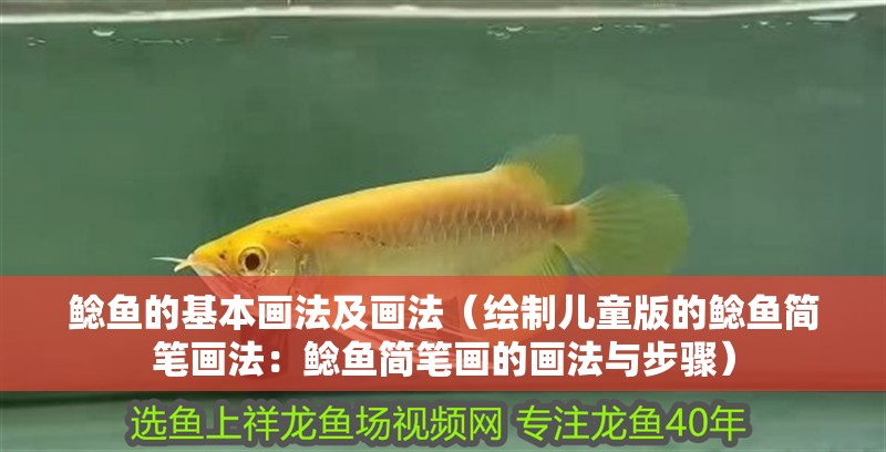 鯰魚的基本畫法及畫法（繪制兒童版的鯰魚簡筆畫法：鯰魚簡筆畫的畫法與步驟）