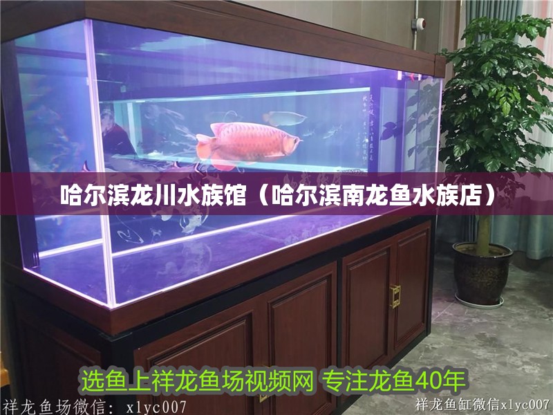 哈爾濱龍川水族館（哈爾濱南龍魚水族店）