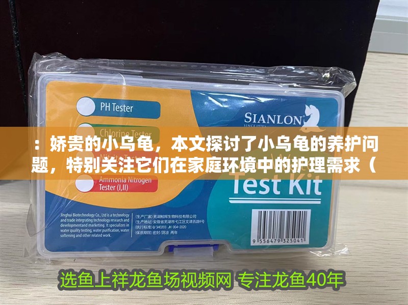 ：嬌貴的小烏龜，本文探討了小烏龜的養護問題，特別關注它們在家庭環境中的護理需求（嬌貴的小烏龜的養護建議）