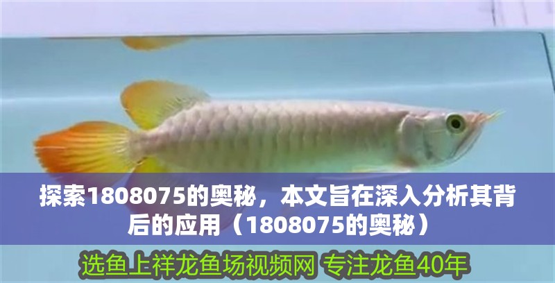 探索1808075的奧秘，本文旨在深入分析其背后的應(yīng)用（1808075的奧秘）