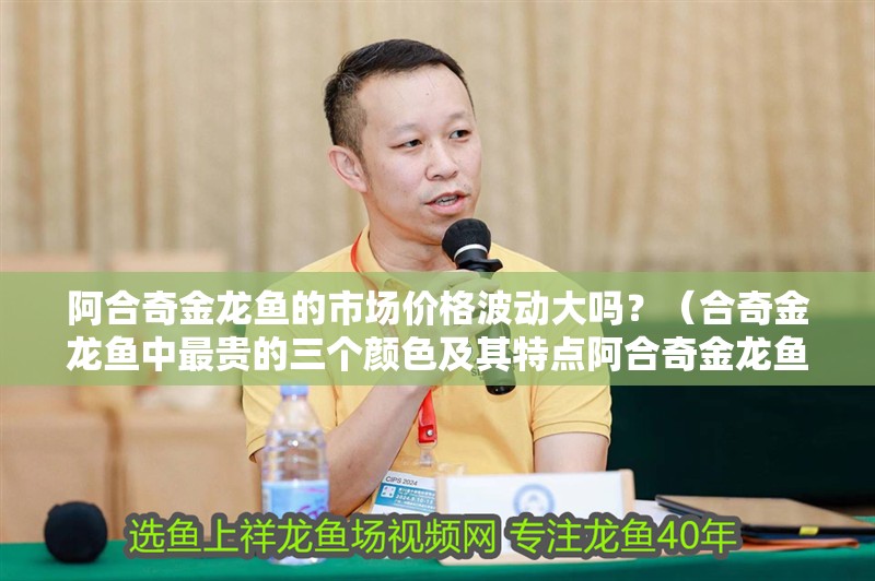 阿合奇金龍魚的市場價格波動大嗎？（合奇金龍魚中最貴的三個顏色及其特點阿合奇金龍魚養殖教程）