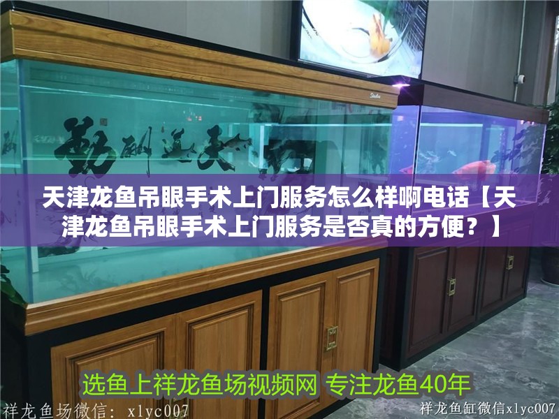 天津龍魚吊眼手術上門服務怎么樣啊電話【天津龍魚吊眼手術上門服務是否真的方便？】