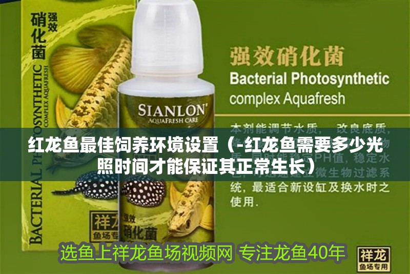 紅龍魚最佳飼養環境設置（-紅龍魚需要多少光照時間才能保證其正常生長）
