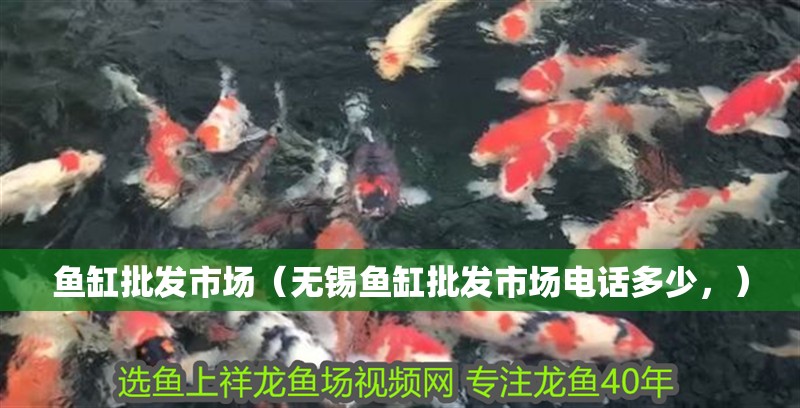 魚缸批發(fā)市場（無錫魚缸批發(fā)市場電話多少，）