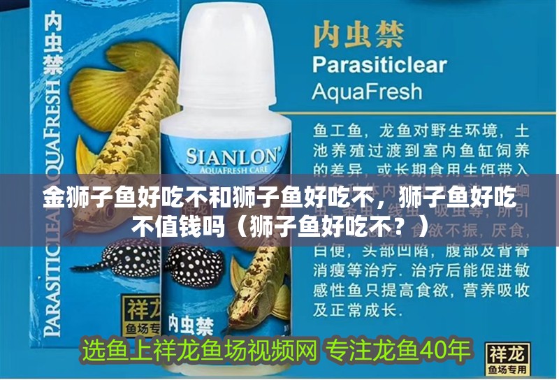 金獅子魚好吃不和獅子魚好吃不，獅子魚好吃不值錢嗎（獅子魚好吃不？）