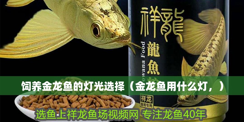 飼養(yǎng)金龍魚的燈光選擇（金龍魚用什么燈，）