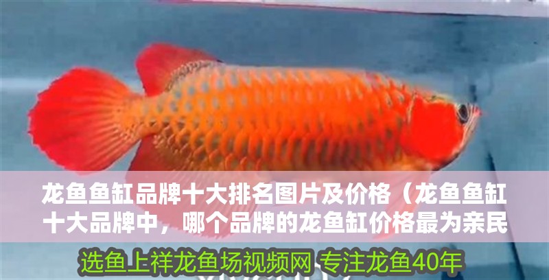 龍魚魚缸品牌十大排名圖片及價(jià)格（龍魚魚缸十大品牌中，哪個(gè)品牌的龍魚缸價(jià)格最為親民？）