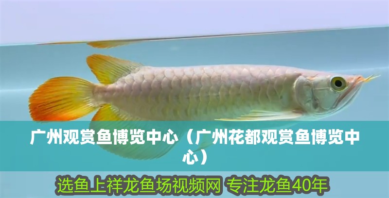 廣州觀賞魚博覽中心（廣州花都觀賞魚博覽中心）
