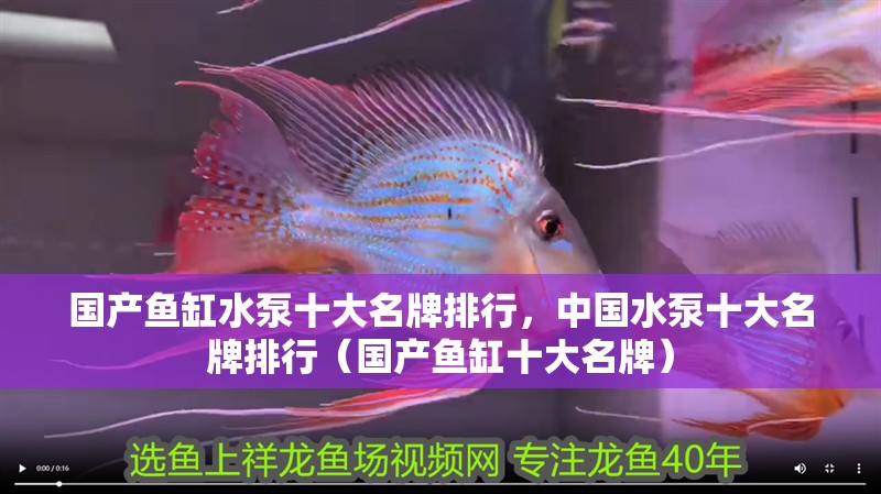 國產魚缸水泵十大名牌排行，中國水泵十大名牌排行（國產魚缸十大名牌）