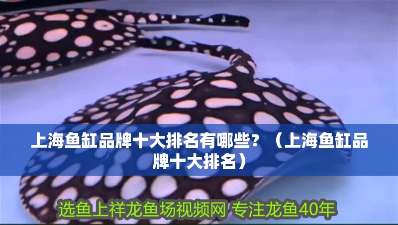 上海魚缸品牌十大排名有哪些？（上海魚缸品牌十大排名）